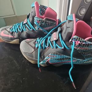 LeBron 12 23 Chromosomses